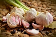 PubMed: سیر یک درمان مؤثر برای کاهش کلسترول است
