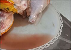 مرغ کیلویی ۱۳۲ هزار تومان نه؛ بهتر است بگوییم مرغ به همراه نیم کیلو آب ۱۳۲ هزار تومان!