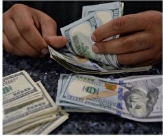 افزایش پیدا کردن نرخ دلار به کام بانک‌ها خوش آمد!