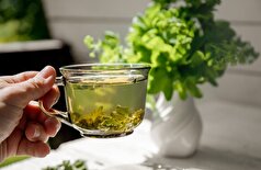 رژیم غذایی 
