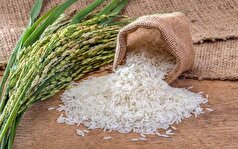 دریافت جریمه ۱۰ درصدی از برنج وارداتی به ایران