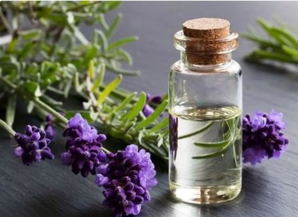 این دسته از افراد اصلا نباید دارو‌های گیاهی مصرف کنند