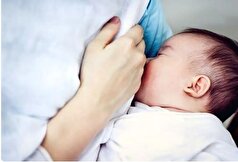 چه چیز‌هایی باعث بالا رفتن کیفیت و کمیت شیر مادران می‌شود؟