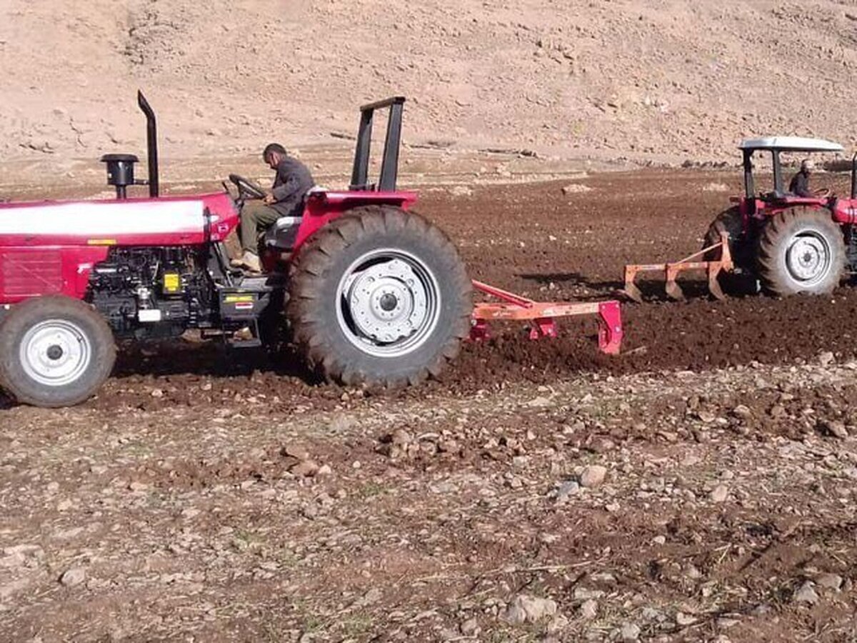 کشت دانه‌های روغنی در ۳۰۰۰ هکتار از اراضی میامی