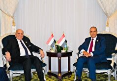 وزیران خارجه عراق و مصر تحولات قضیه فلسطین را بررسی کردند