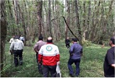 کشته شدن زن باردار با سلاح سرد در تالش، به دلیل ریختن زباله در طبیعت