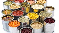 ۱۷۰ همت منابع مالی برای توسعه صنایع تبدیلی نیاز است