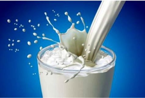نگاهی به خواص انواع شیر‌های گیاهی و حیوانی/کدام بهتر است؟