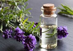 مصرف انواع دارو‌های گیاهیی برای زنان باردار بی خطر است؟