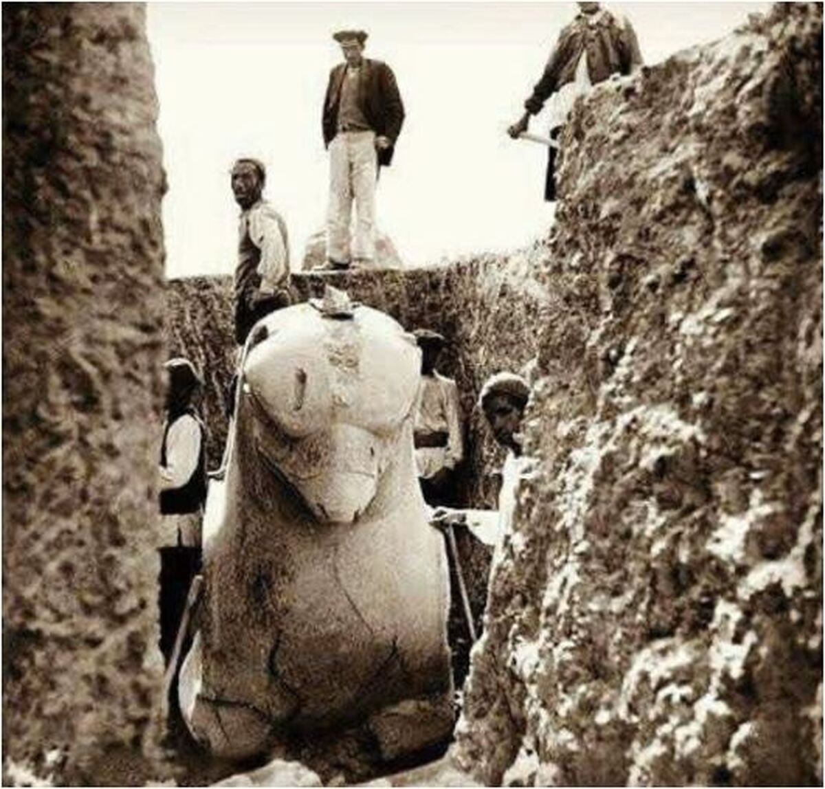 تصویری از تلاش کارگران برای بیرون آوردن شیردال از دلِ خاک تخت جمشید