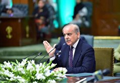 درخواست نخست وزیر پاکستان برای اقدام مشترک کشور‌های عربی-اسلامی برای تشکیل یک نیروی ویژه