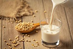 یک جایگزین مناسب برای شیرهای لبنی