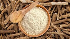 جینسینگ هندی یا آشواگاندا چیست؟