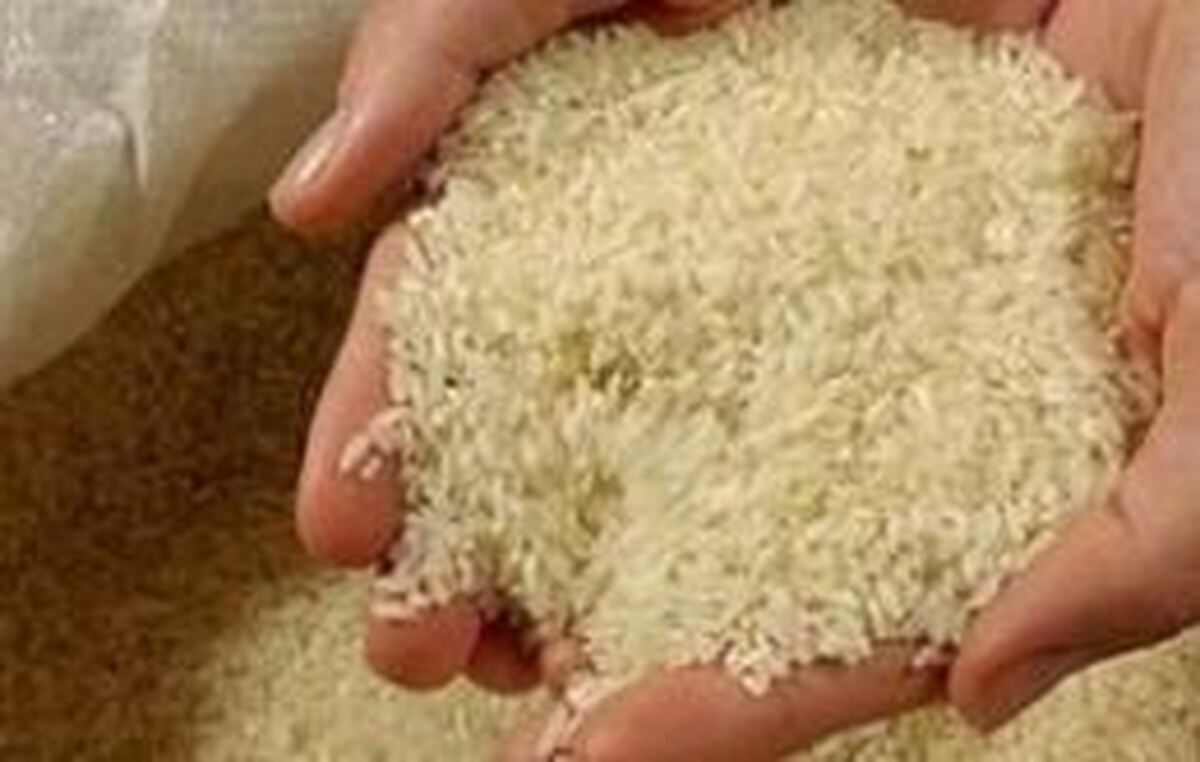 جریمه تاوان تخلیط برنج