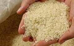 جریمه تاوان تخلیط برنج