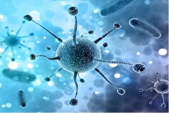 واکسن گونه‌های پرخطر HPV باید وارد واکسیناسیون عمومی شود