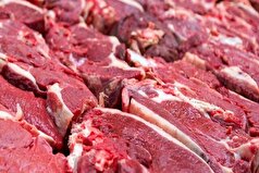 آرامش نسبی در بازار گوشت قرمز تهران برقرار شده است
