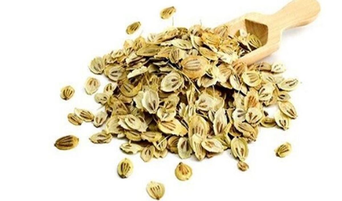 به کمک این گیاه در دسترس به وزن دلخواه تان برسید