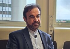 ایران قطعنامه ممنوعیت حمله به تأسیسات هسته‌ای را دنبال می‌کند