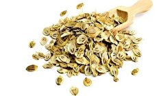 به کمک این گیاه در دسترس به وزن دلخواه تان برسید