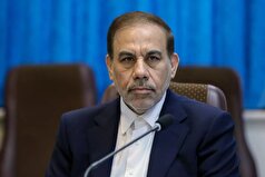 قاتل ۱۴۰ جنین در هرمزگان حکم اعدام گرفت