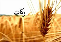 مردم وقتی از هزینه شدن زکات در محل خود مطمئن باشند، بیشتر مشارکت می‌کنند