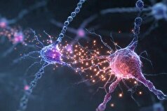 درک بهتر از پیشروی آلزایمر با کشف یک نقص در تولید اگزوزوم‌ها!