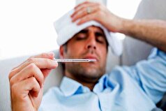تب دنگی کدام جنسیت را بیشتر درگیر میکند؟