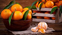 نقش ویتامین A موجود در نارنگی بر سلامتی!