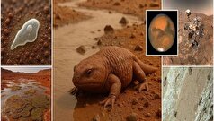کشف «خال‌های پلنگی»؛ نشانه‌ای به‌جا مانده از موجودات زنده‌ای که در مریخ زندگی می‌کرده‌اند!