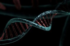 ژن‌های کلیدی مرتبط با آسیب DNA و بیماری‌های انسانی کشف شده‌اند