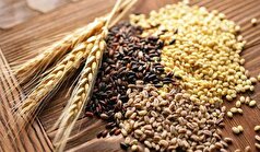با این روش به راحتی از ابتلا به سرطان روده بزرگ پیشگیری کنید