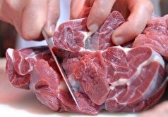 بهترین روش پختن گوشت برای جلوگیری از آسیب به کبد