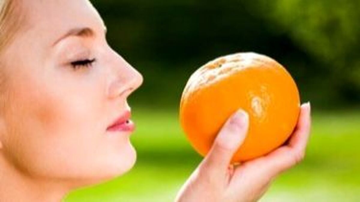 طعم چگونه در مغز انسان ساخته می‌شود؟