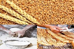 تولید در صنعت نان ۵ درصد رشد کرد