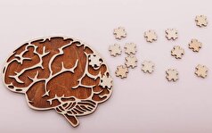 برای پیشگیری از آلزایمر باید این سه رکن اساسی را رعایت کرد!