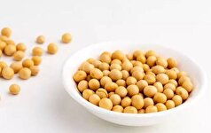 ۵ خاصیت اعجاب انگیز مصرف «سویا»