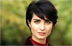 بررسی سبک دکوراسیون شیک خانه بازیگر معروف ترکی، با رعایت تمام نکات مهم+تصاویر