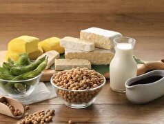 سویا؛ گنجی پنهان برای سلامت بدن