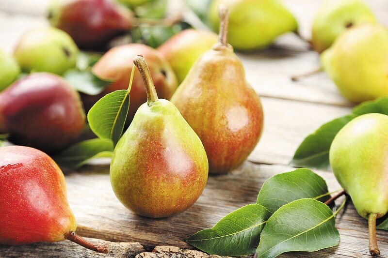 این غذا‌ها ما را از سرطان نجات می‌دهند