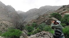 احداث ۳ پایگاه حفاظتی در شهر‌های لرستان
