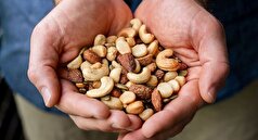 اگر به طور منظم آجیل مصرف کنیم از چه خواصی بهره‌مند می‌شویم؟