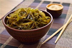 ساخت ارتشی از چربی‌خواران برای مبارزه با چاقی با یک ترکیب طبیعی
