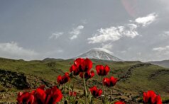 معرفی چند طبیعت بکر و منطقه دیدنی در اطراف تهران برای سفر‌های کوتاه مدت