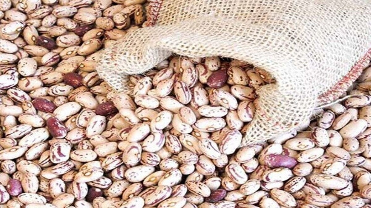 لوبیا چیتی ارزان شد