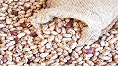 لوبیا چیتی ارزان شد