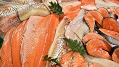 اتحادیه اروپا واردات غذا‌های دریایی از روسیه را در هفت ماه بیش از یک چهارم افزایش داده است.