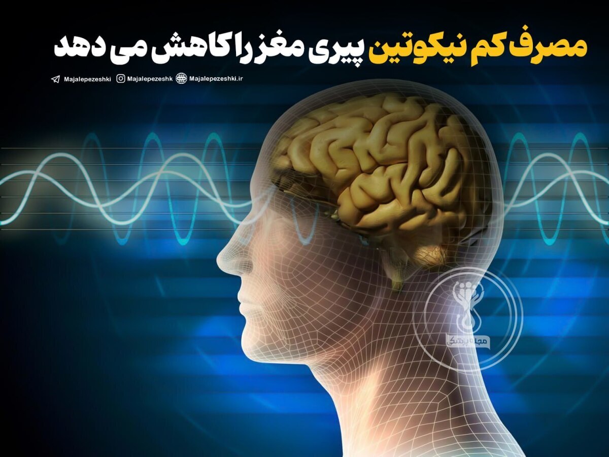 دوز‌های پایین نیکوتین سرعت پیری مغز را کاهش میدهد!