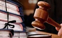 پرونده تقلب در فروش ۹ تن خوراک دامی
