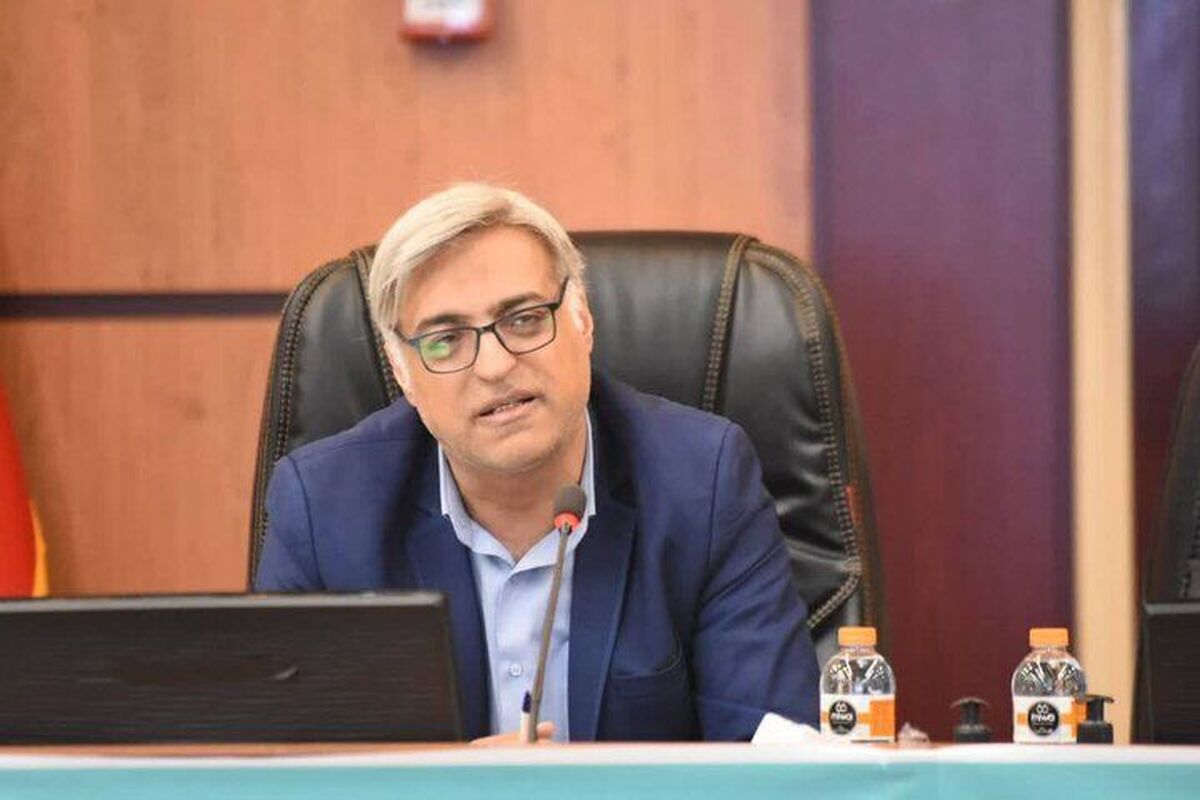 استانداردسازی خدمات دولتی در دستور کار هیئت دولت قرار خواهد گرفت